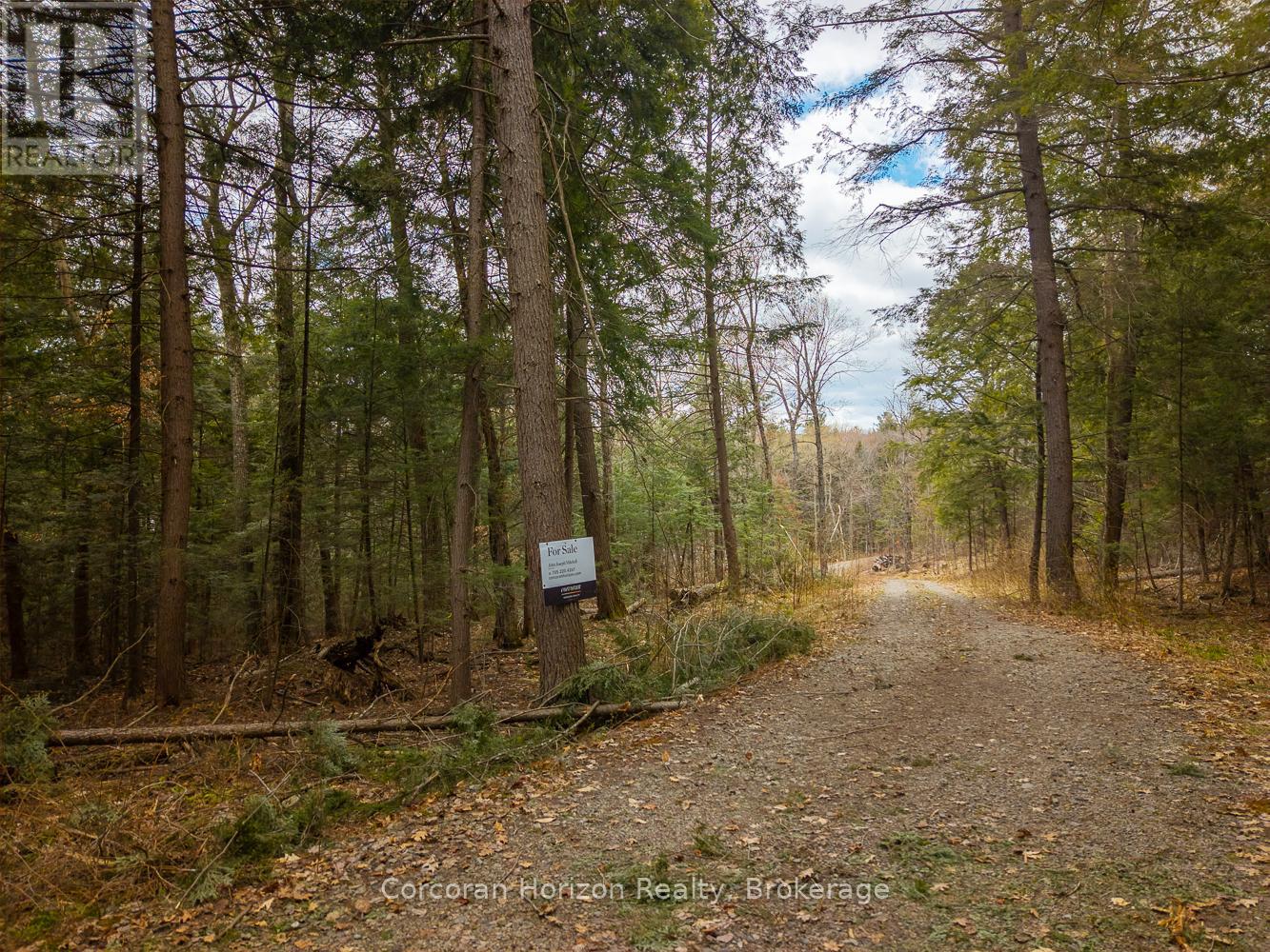 North Lot 18863 Kawagama Lake North Shore Drive, Algonquin Highlands, Ontario P0A 1E0 - Photo 7 - X13158158