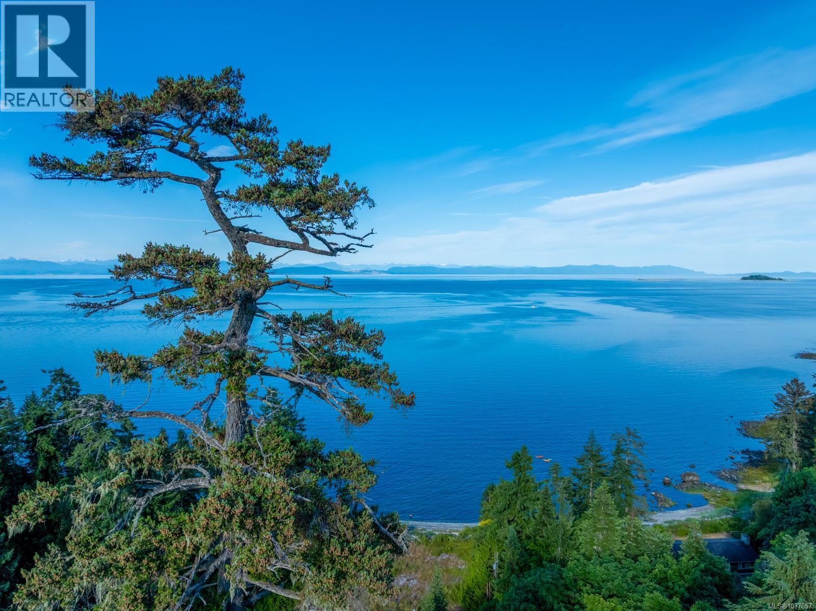 4218 Island Hwy S, Courtenay, British Columbia  V9N 9R8 - Photo 40 - 1037657