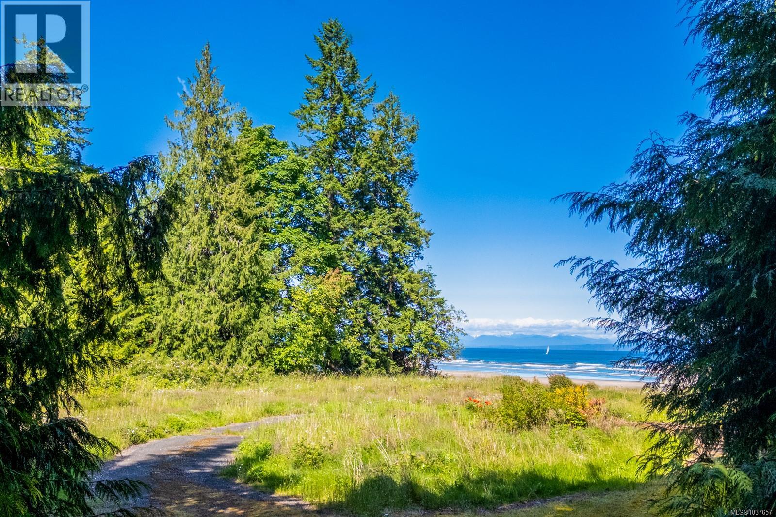 4218 Island Hwy S, Courtenay, British Columbia  V9N 9R8 - Photo 15 - 1037657