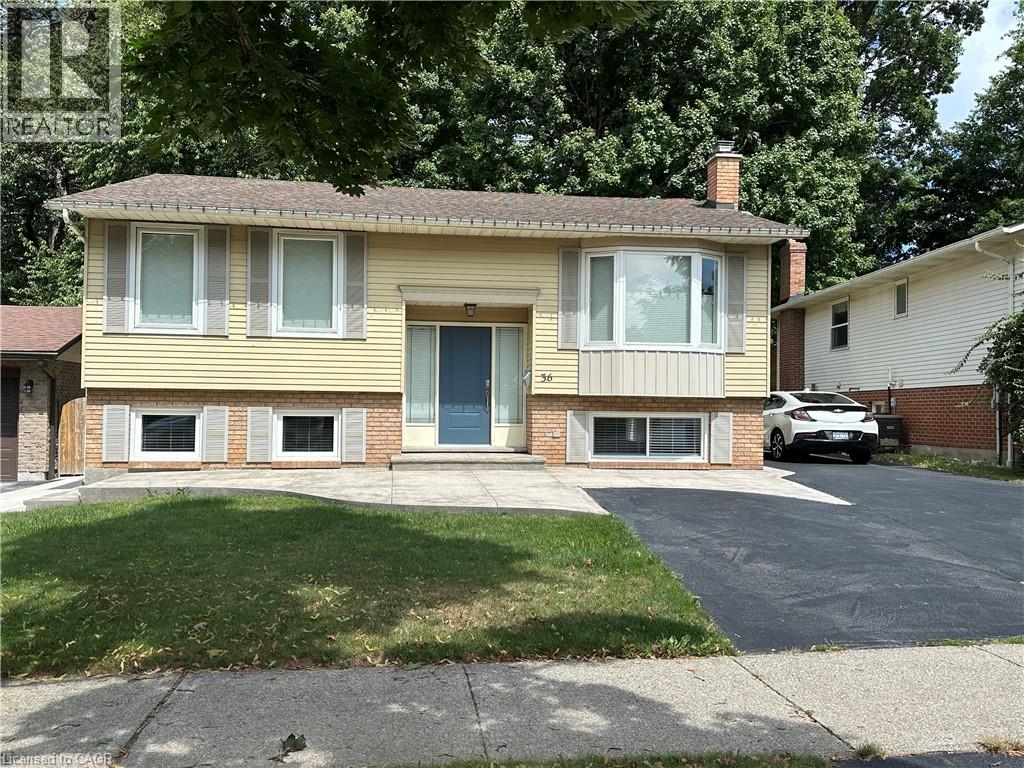 36 INGLEWOOD Court Unit# B