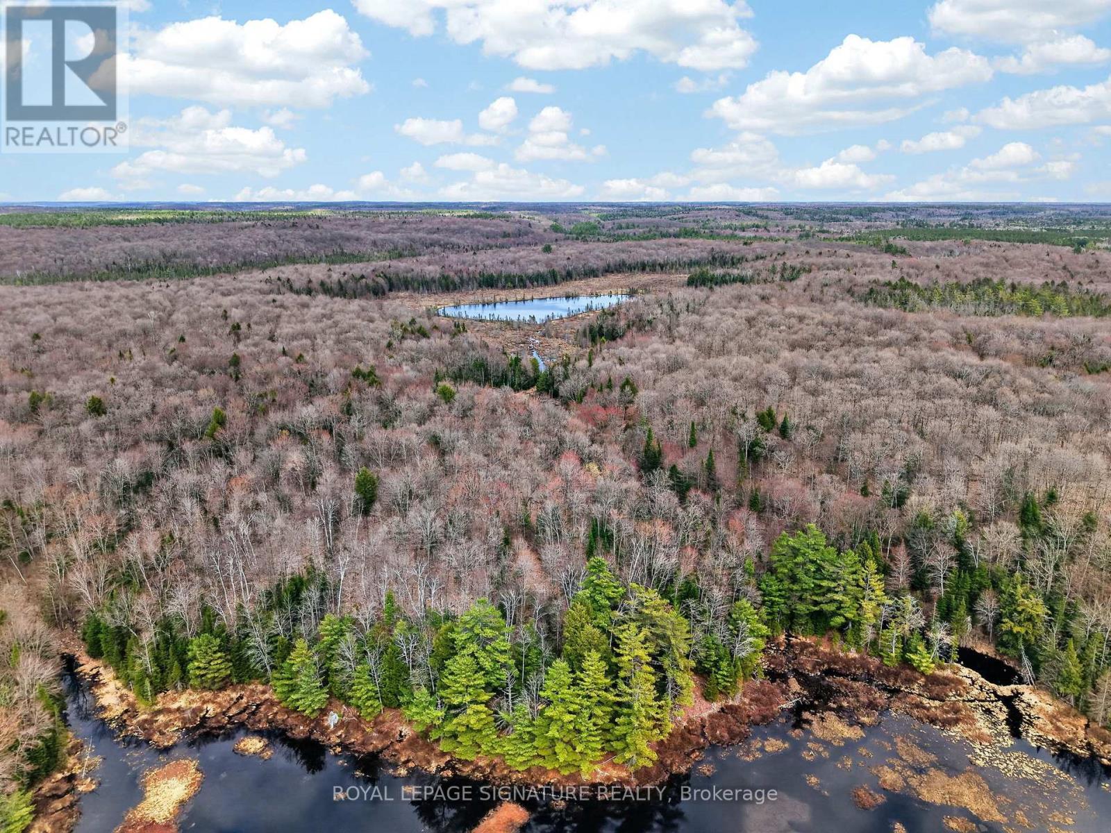 1170 Peter Road, Bracebridge, Ontario P1L 1X3 - Photo 31 - X13158144