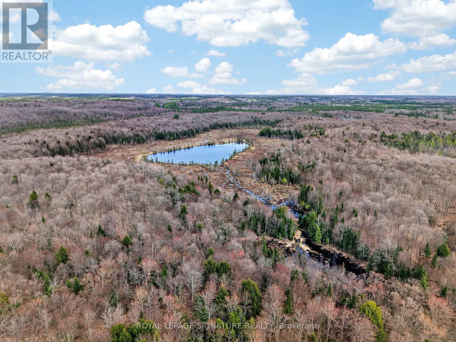1170 Peter Road, Bracebridge, Ontario P1L 1X3 - Photo 33 - X13158144