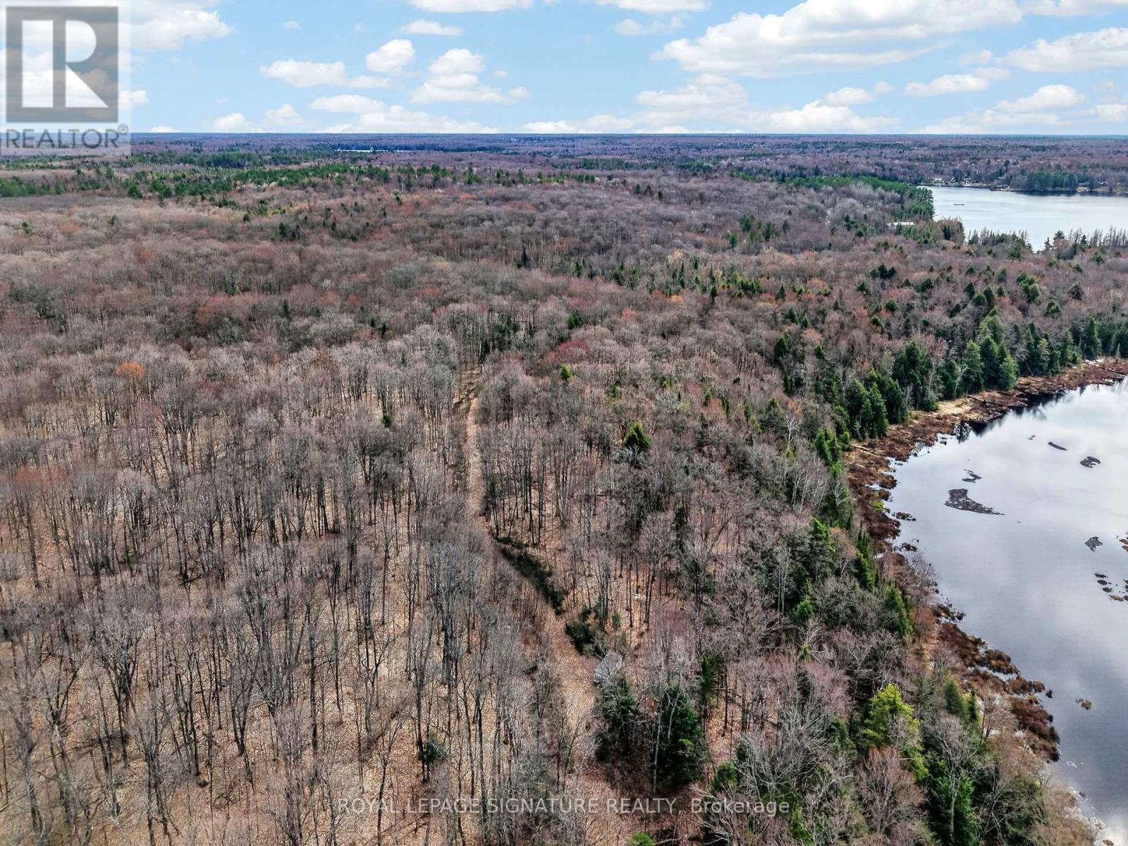 1170 Peter Road, Bracebridge, Ontario P1L 1X3 - Photo 35 - X13158144