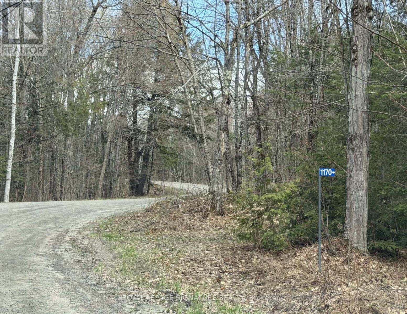 1170 Peter Road, Bracebridge, Ontario P1L 1X3 - Photo 37 - X13158144