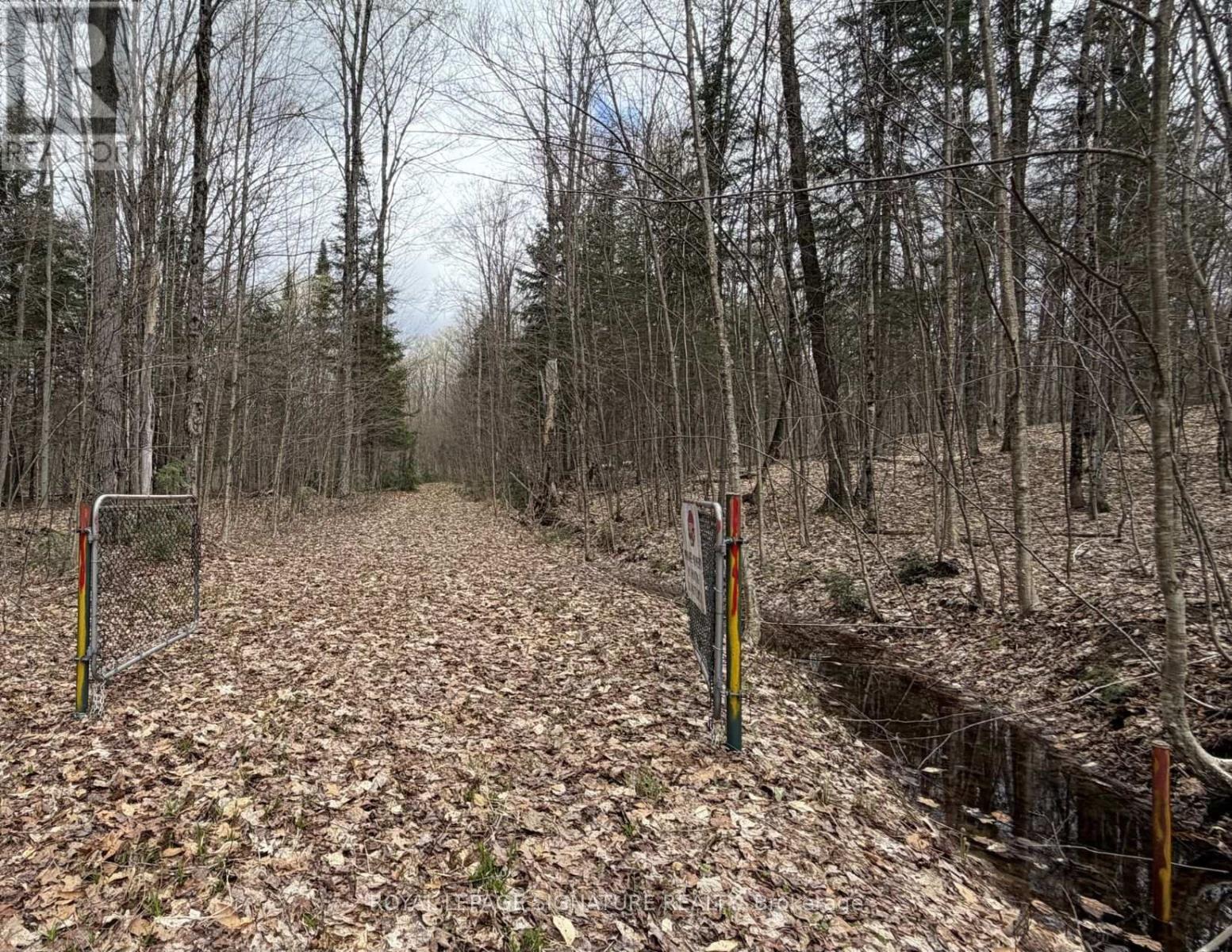 1170 Peter Road, Bracebridge, Ontario P1L 1X3 - Photo 39 - X13158144