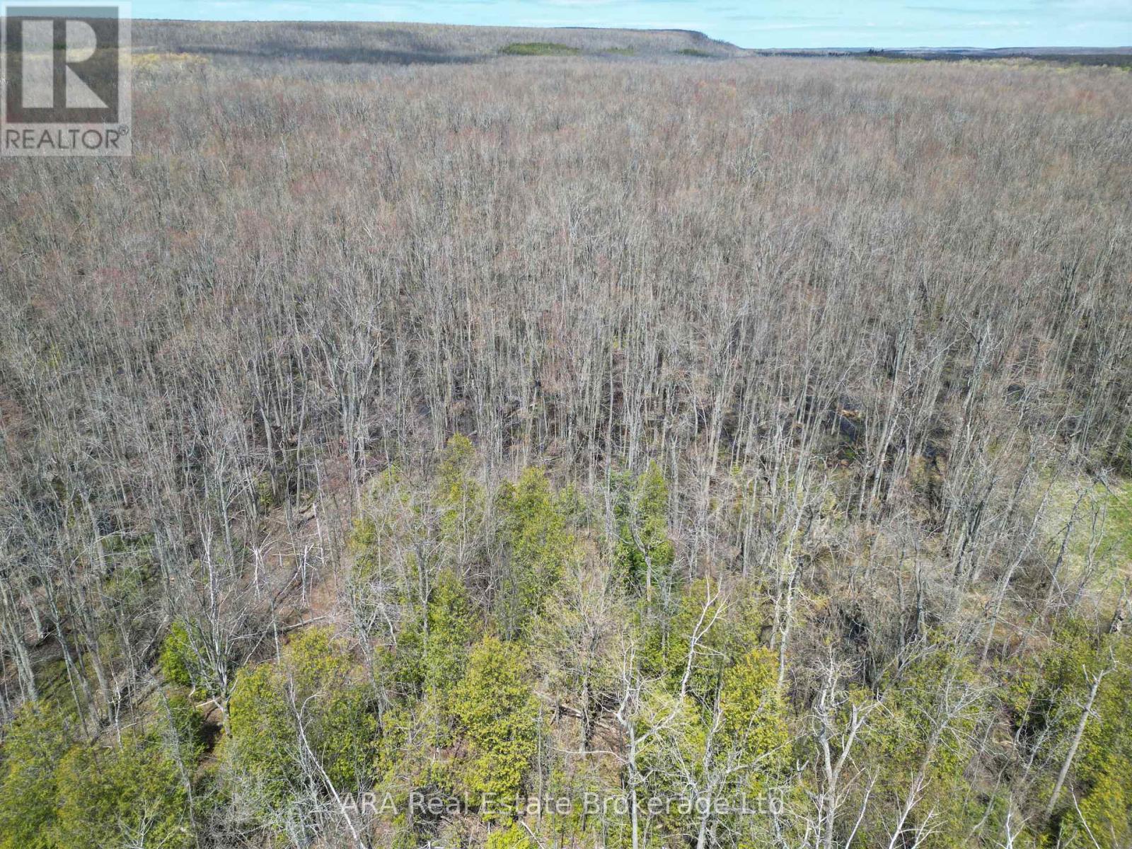 St Vint Con 11 W Pt Lt 19 26 Highway, Meaford, Ontario N4L 1W5 - Photo 26 - X13158536