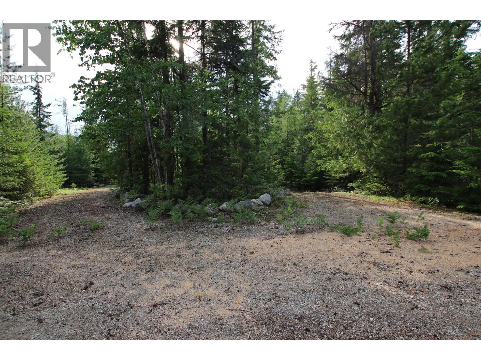 854 Alexander Road, Nakusp, British Columbia  V0G 1R1 - Photo 10 - 10353334