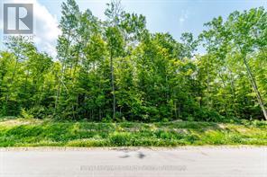 Lot 41 Explorers Landing, Tiny, Ontario  L9M 0C2 - Photo 2 - S13158830
