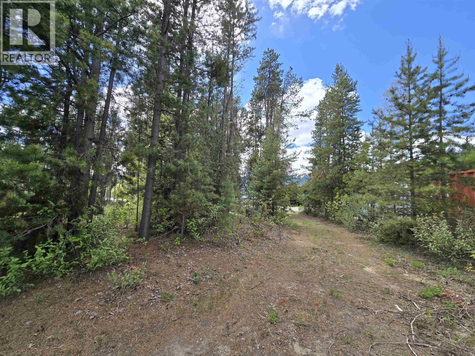1406 Bruce Place, Valemount, British Columbia  V0E 1Z0 - Photo 3 - R3125685