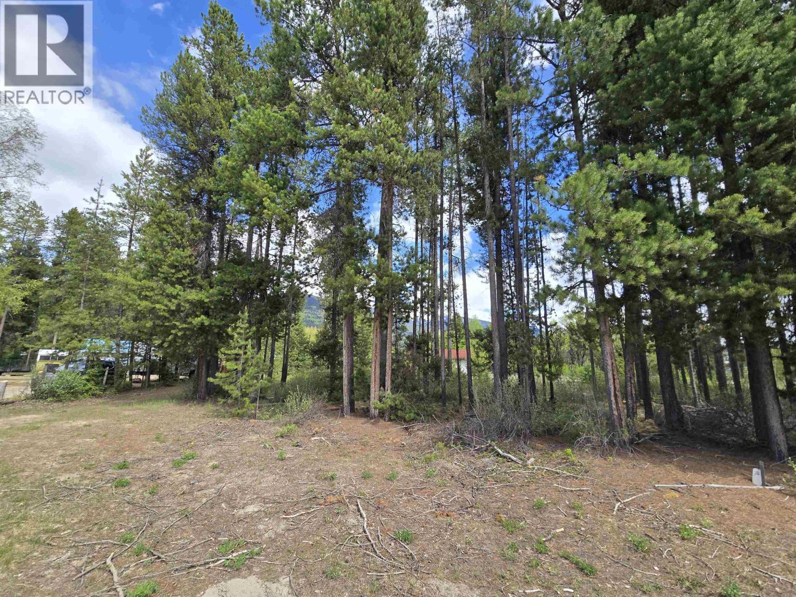 1406 Bruce Place, Valemount, British Columbia  V0E 1Z0 - Photo 1 - R3125685