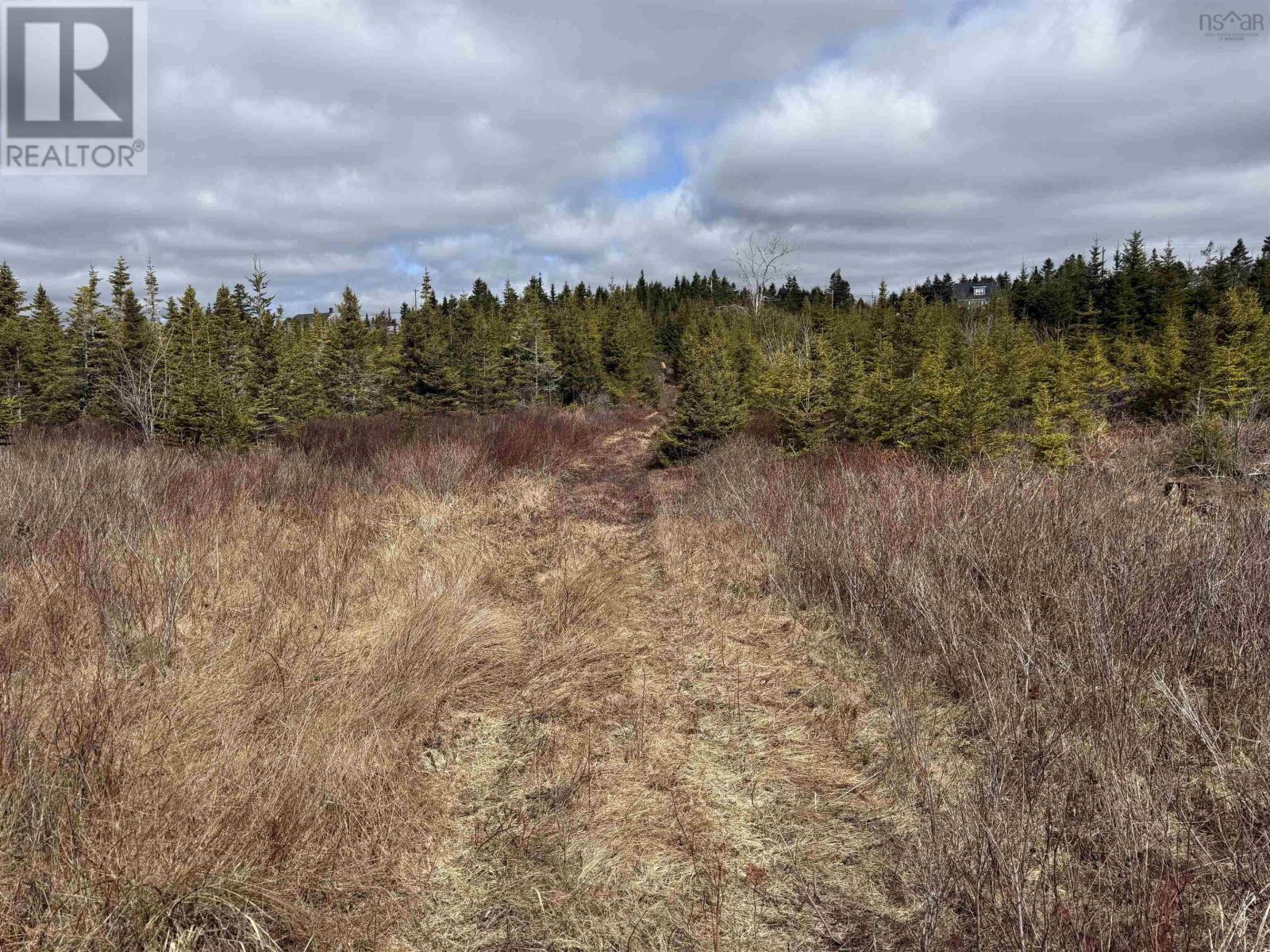7 Highway, Ecum Secum, Nova Scotia B0J 2A0 - Photo 10 - 202607736