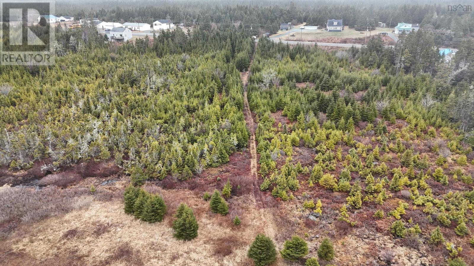 7 Highway, Ecum Secum, Nova Scotia B0J 2A0 - Photo 11 - 202607736