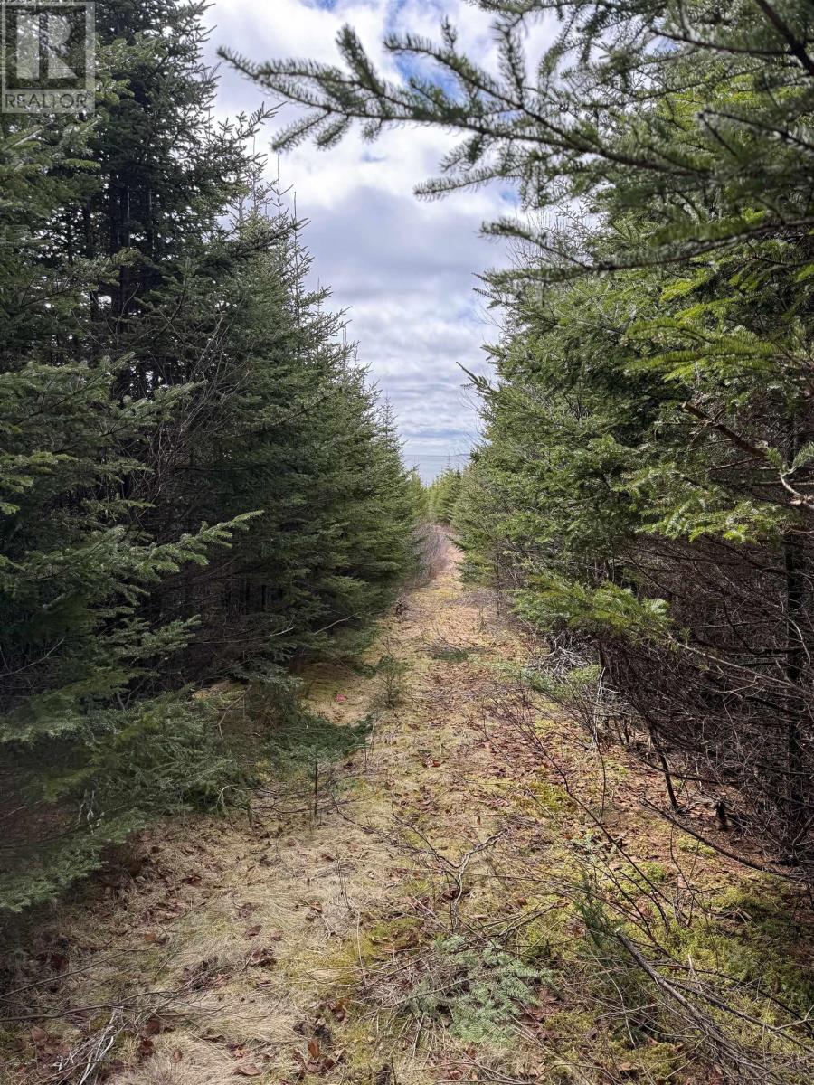 7 Highway, Ecum Secum, Nova Scotia B0J 2A0 - Photo 3 - 202607736