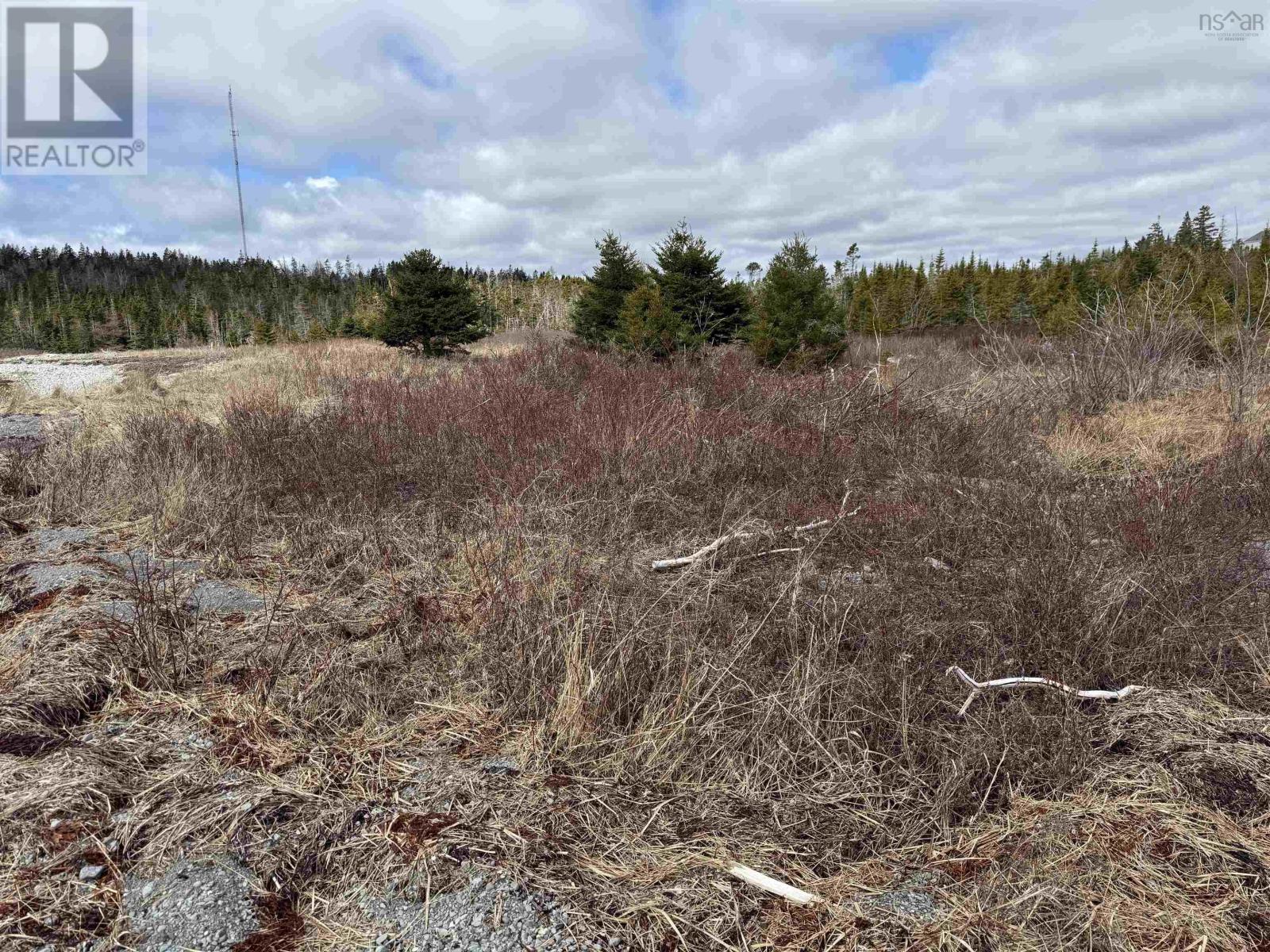 7 Highway, Ecum Secum, Nova Scotia B0J 2A0 - Photo 19 - 202607736