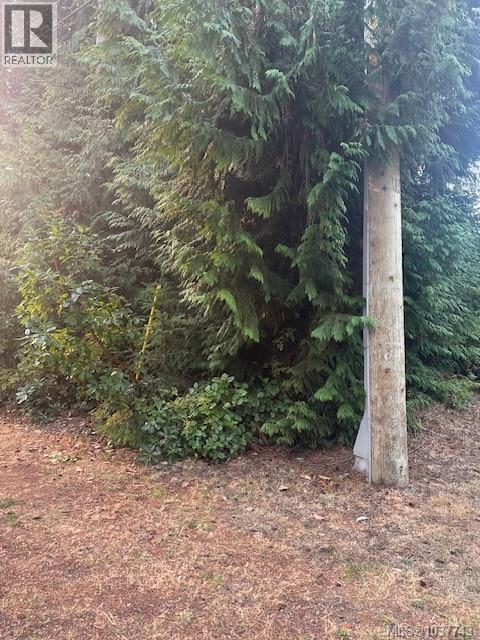 156&160 Harlech Rd, Qualicum Beach, British Columbia V9K 1G9 - Photo 3 - 1037743