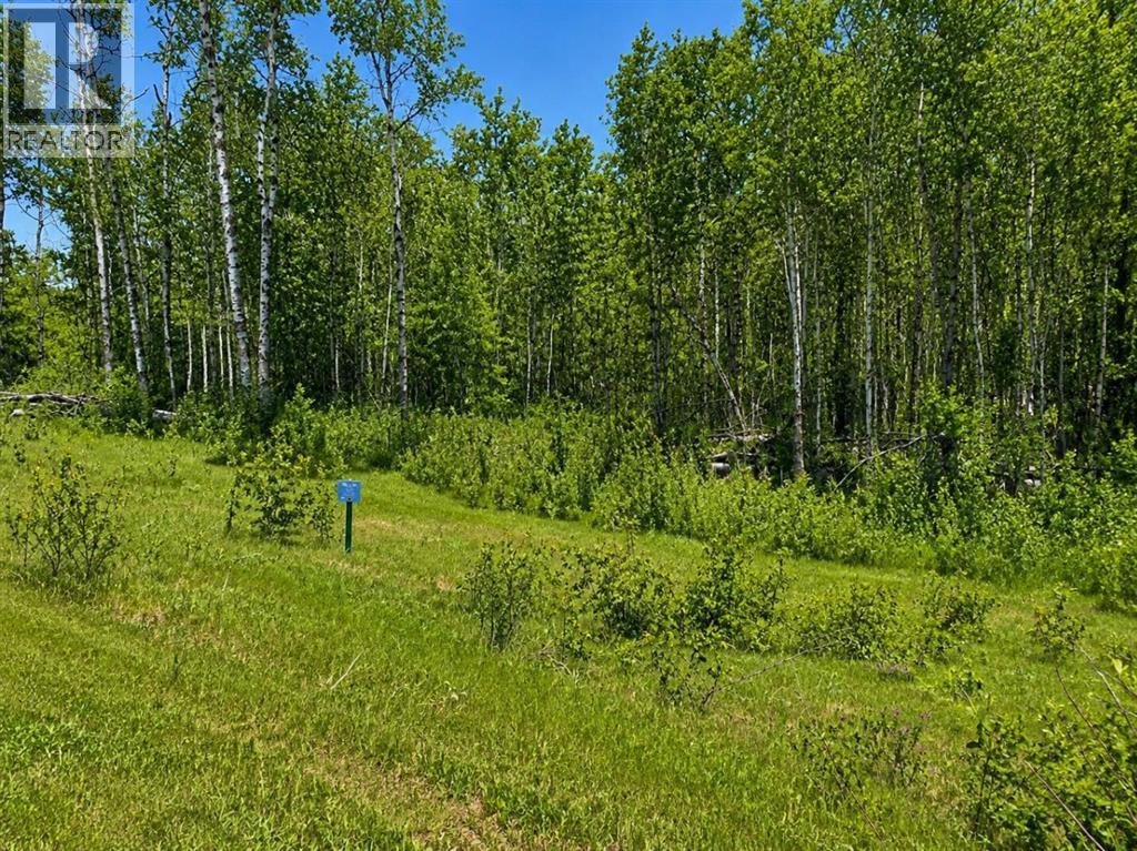 26 50220 204 Range, Rural Beaver County, Alberta  t0b 4j2 - Photo 2 - A2290305