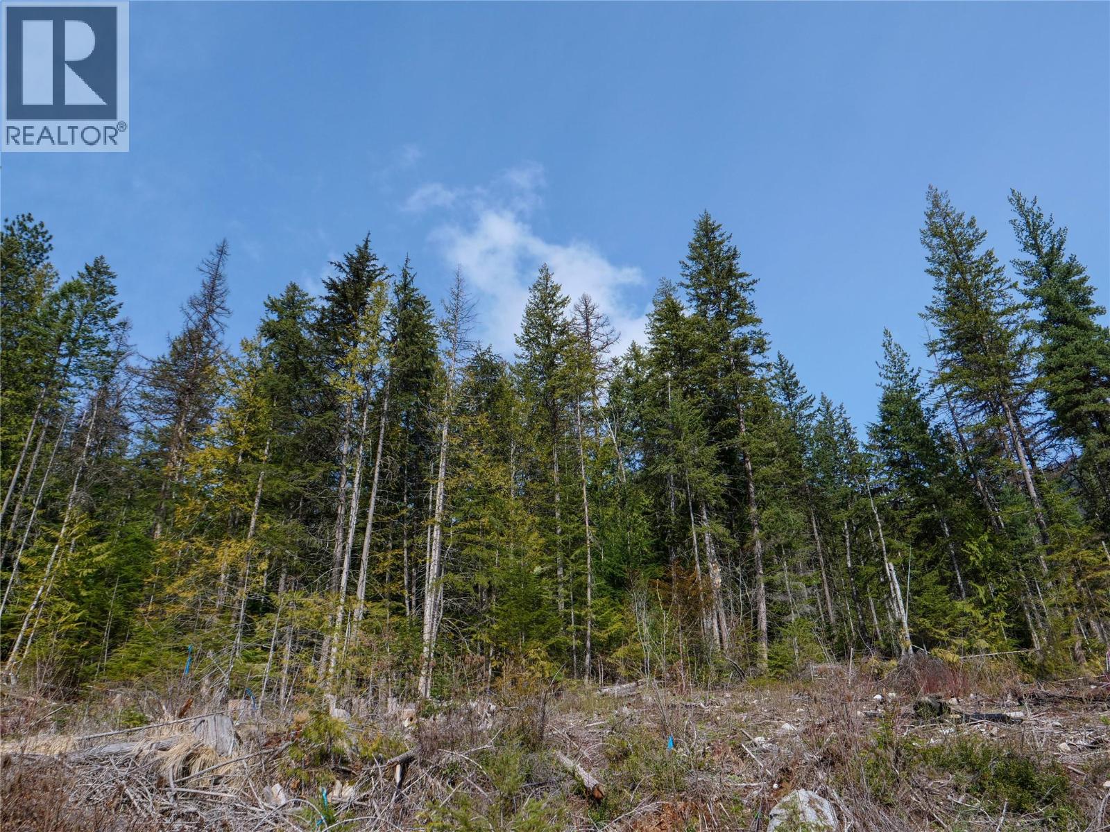 Lot 7 Annable Road, Nelson, British Columbia V1L 6K5 - Photo 10 - 10374702