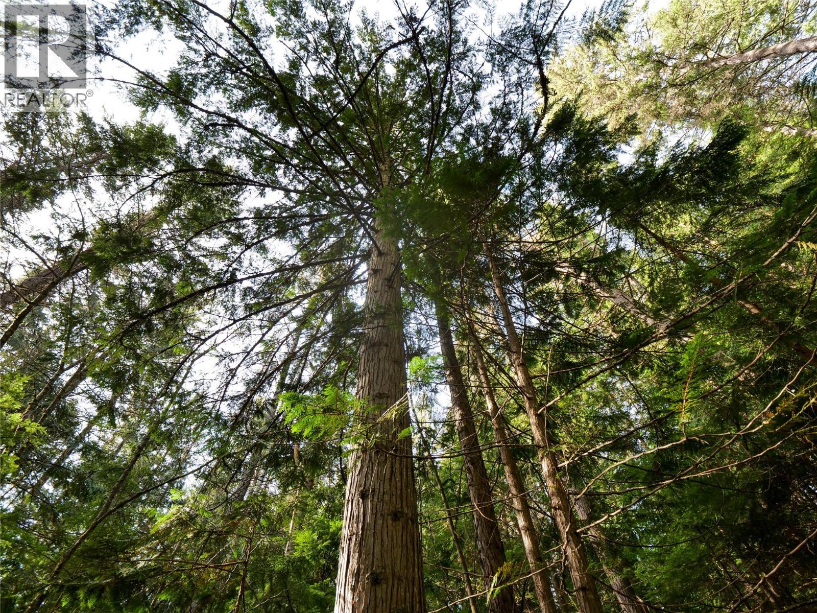 Lot 7 Annable Road, Nelson, British Columbia V1L 6K5 - Photo 5 - 10374702