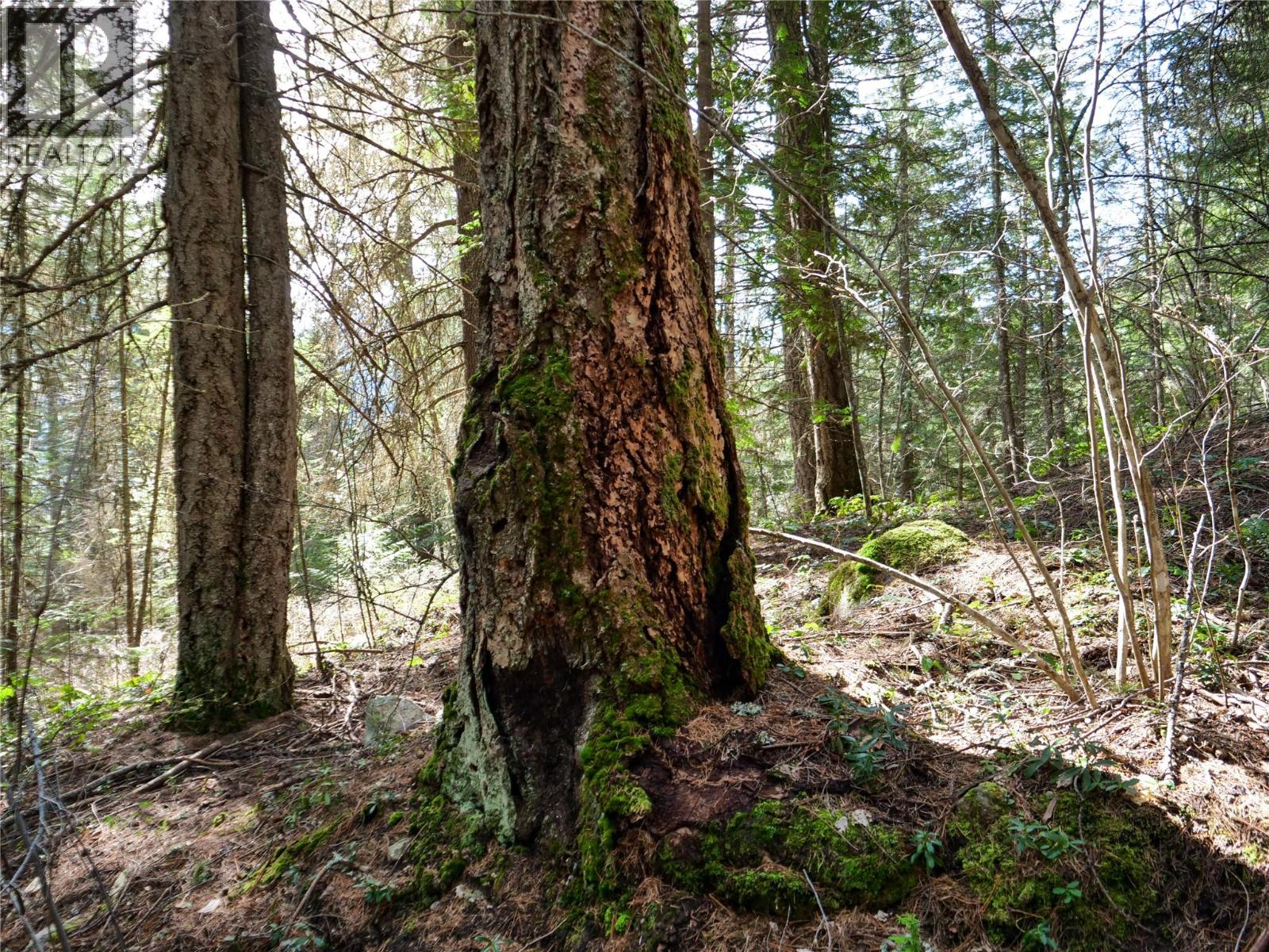Lot 7 Annable Road, Nelson, British Columbia V1L 6K5 - Photo 21 - 10374702