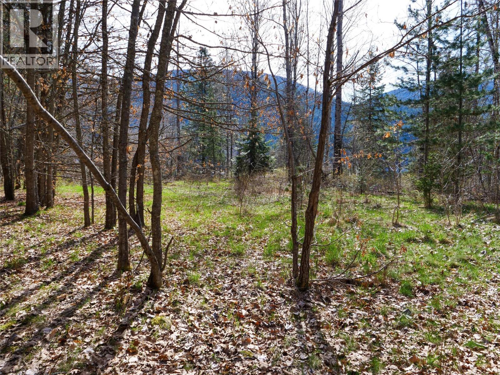 Lot 7 Annable Road, Nelson, British Columbia V1L 6K5 - Photo 22 - 10374702