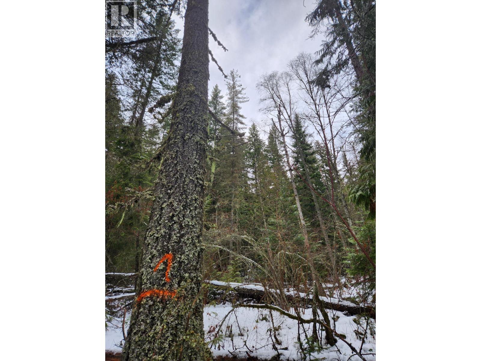 Lot 7 Annable Road, Nelson, British Columbia V1L 6K5 - Photo 37 - 10374702