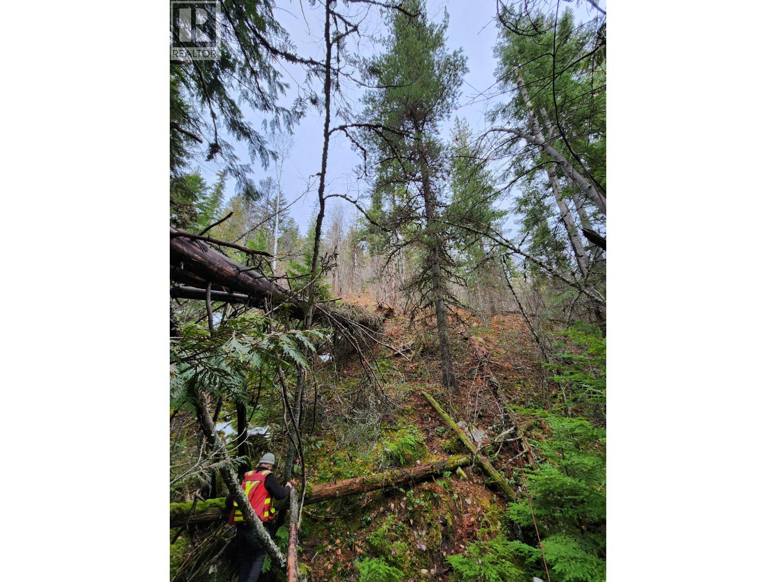 Lot 7 Annable Road, Nelson, British Columbia V1L 6K5 - Photo 34 - 10374702