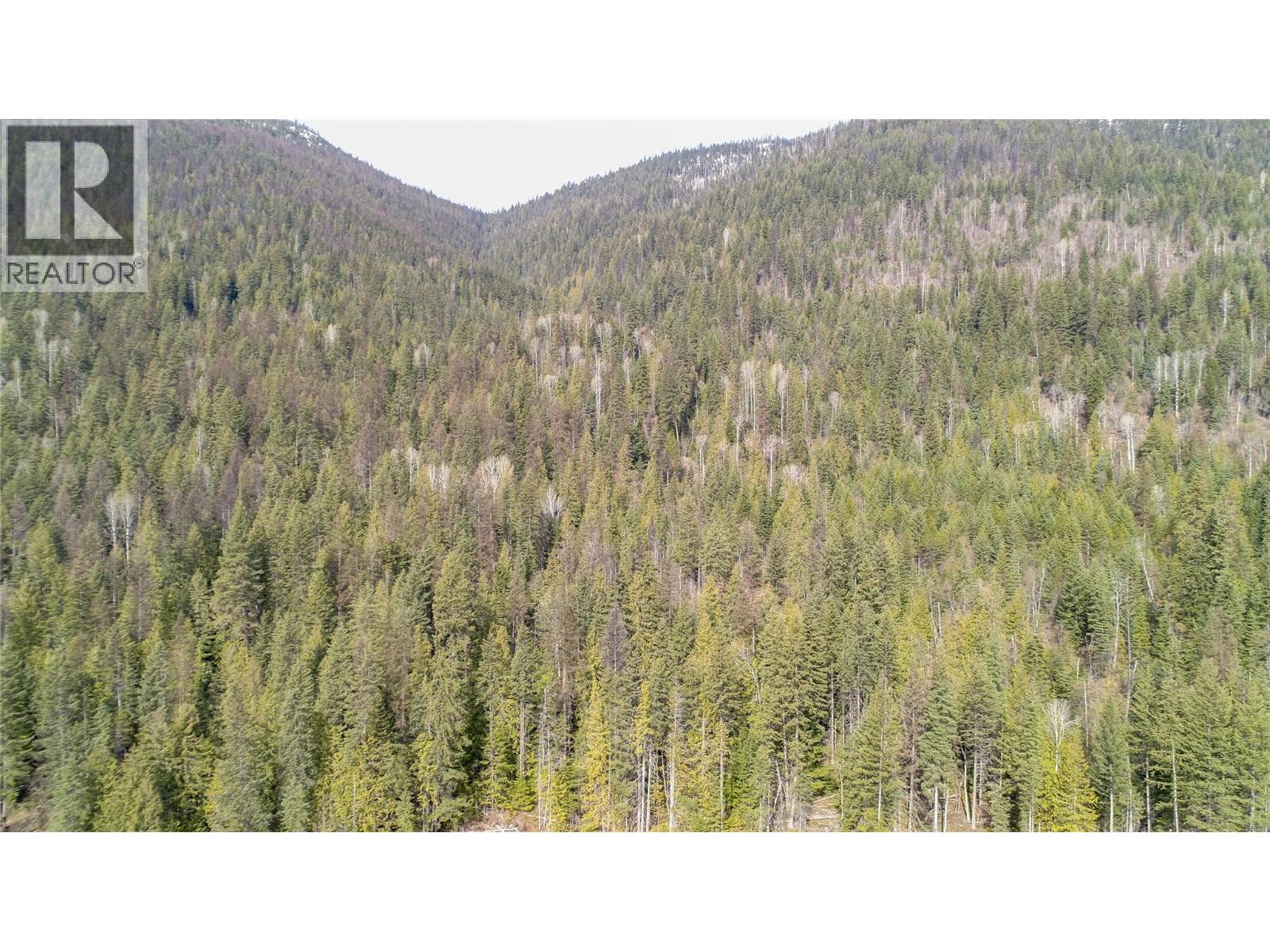 Lot 7 Annable Road, Nelson, British Columbia V1L 6K5 - Photo 33 - 10374702