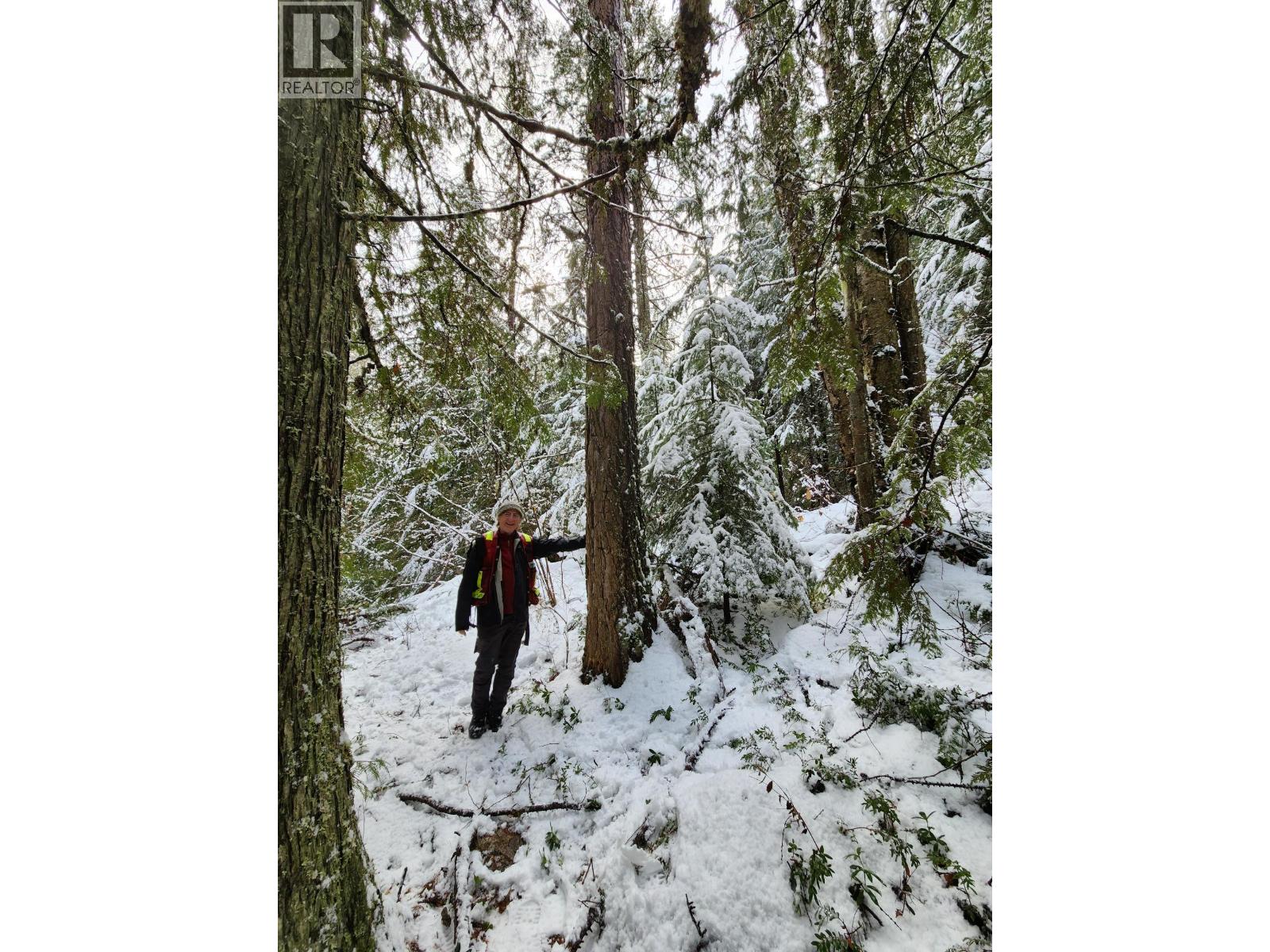 Lot 7 Annable Road, Nelson, British Columbia V1L 6K5 - Photo 36 - 10374702