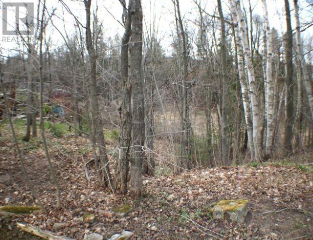 31 White Oak Dr W, Sault Ste Marie, Ontario  P6C 2H7 - Photo 22 - SM261079
