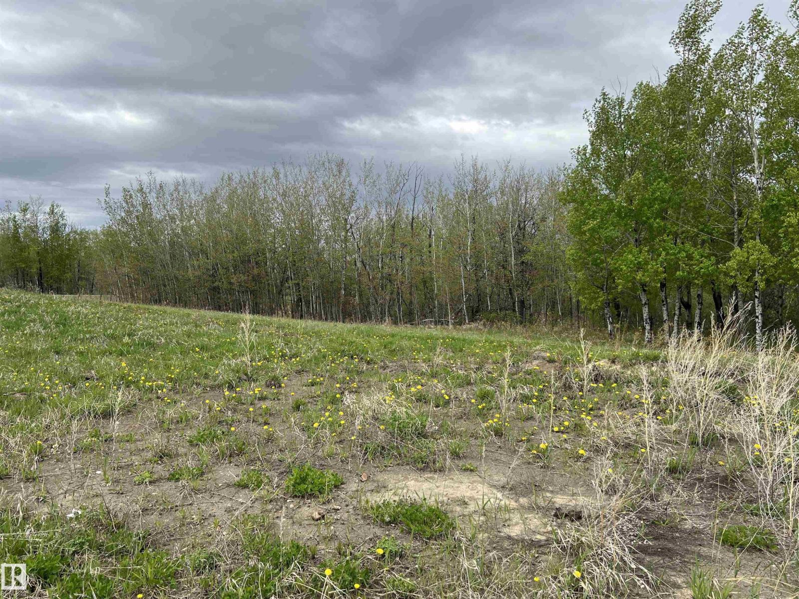 58013 Rge Rd 81, Rural Lac Ste. Anne County, Alberta  T0E 1N0 - Photo 29 - E4416203