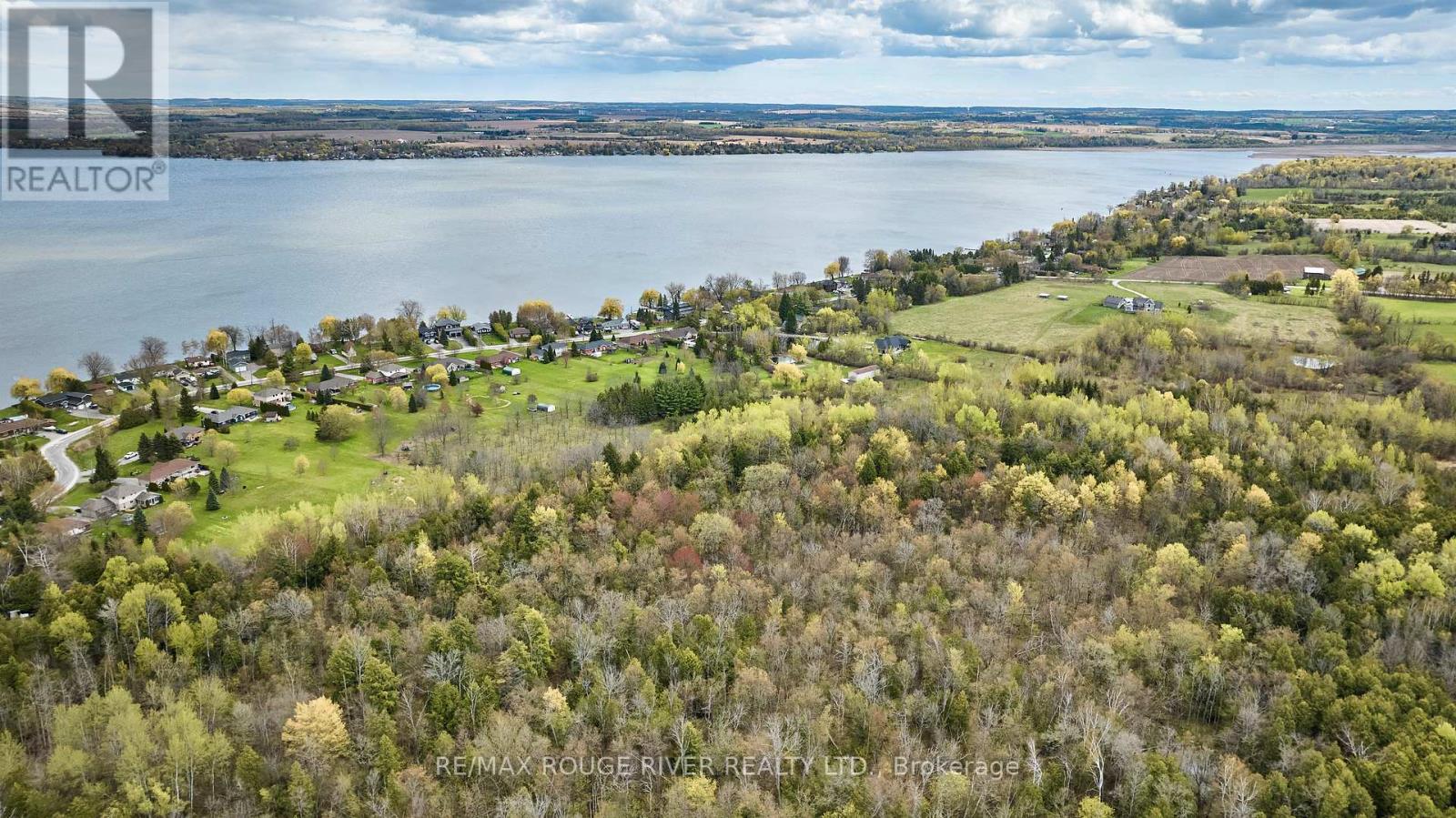 80 Davidge Drive, Scugog, Ontario  L9L 1B6 - Photo 49 - E13118530