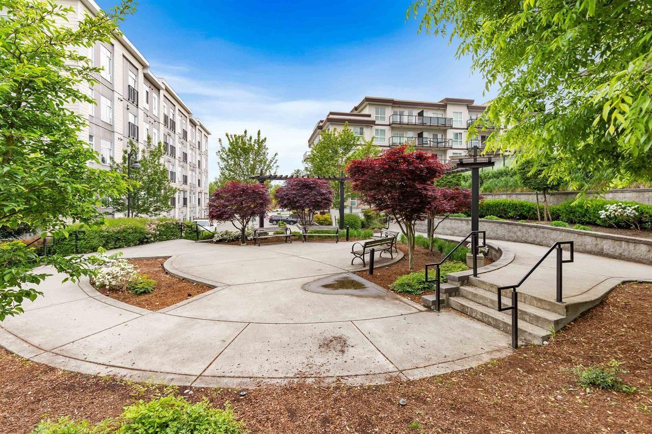 210 13768 108 Avenue, Surrey, British Columbia  V3T 0L9 - Photo 11 - R3123573