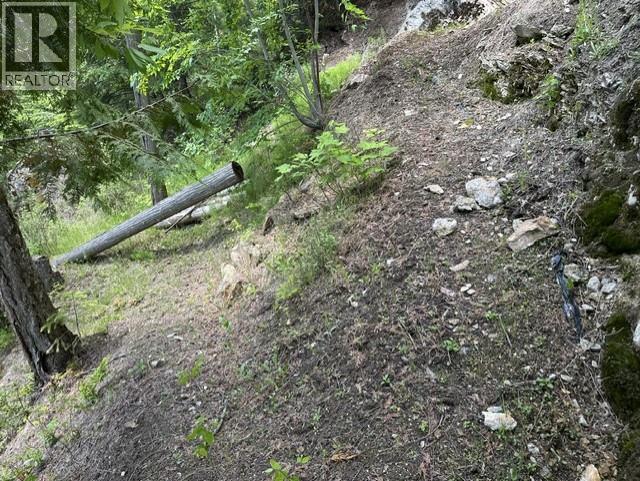 6432 Sunnybrae Canoe-Point Road Lot# 5, Tappen, British Columbia  V0E 2X1 - Photo 45 - 10387243