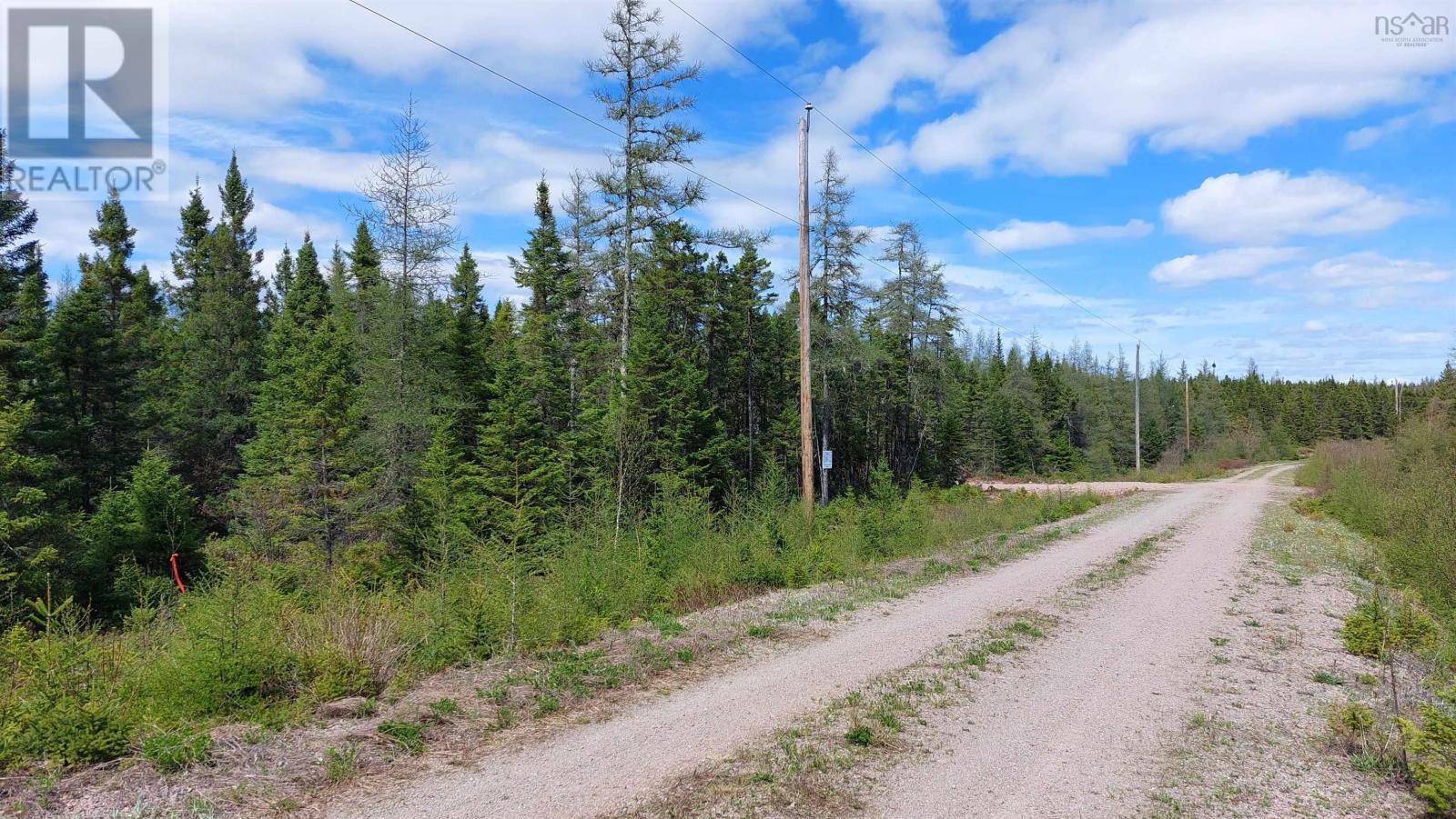 Lot 25 Andreas Popp Lane, Evanston, Nova Scotia  B0E 1J0 - Photo 16 - 202608430