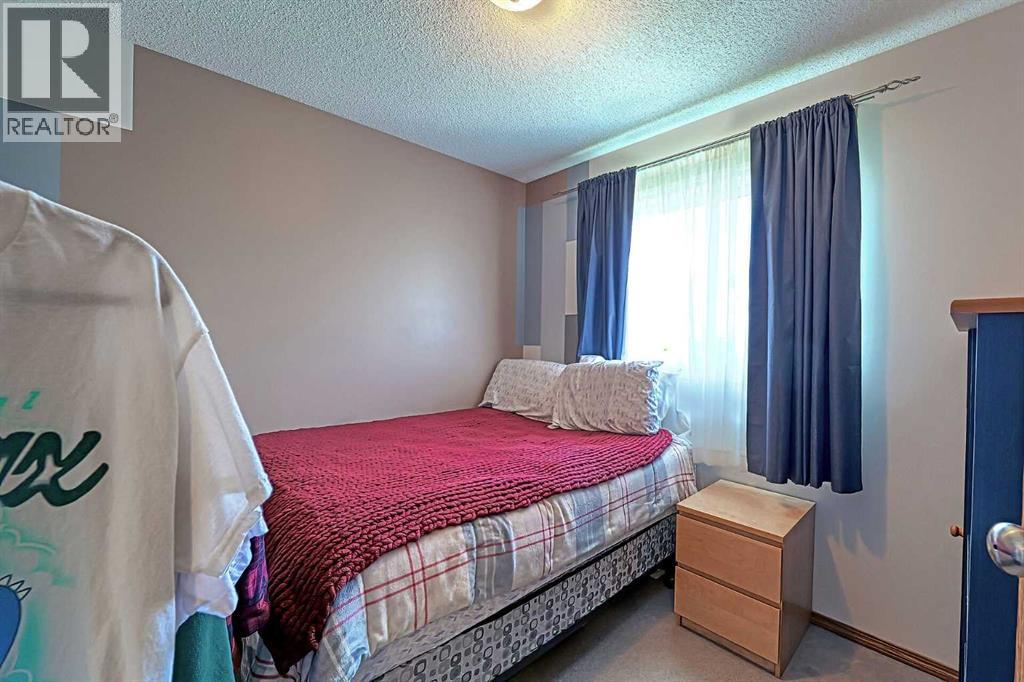 234 Martinvalley Mews NE, Calgary, Alberta  T3J 4W3 - Photo 10 - A2313604