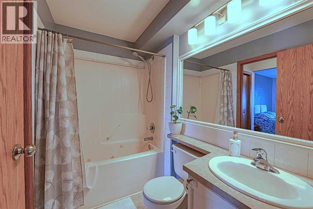 234 Martinvalley Mews NE, Calgary, Alberta  T3J 4W3 - Photo 16 - A2313604