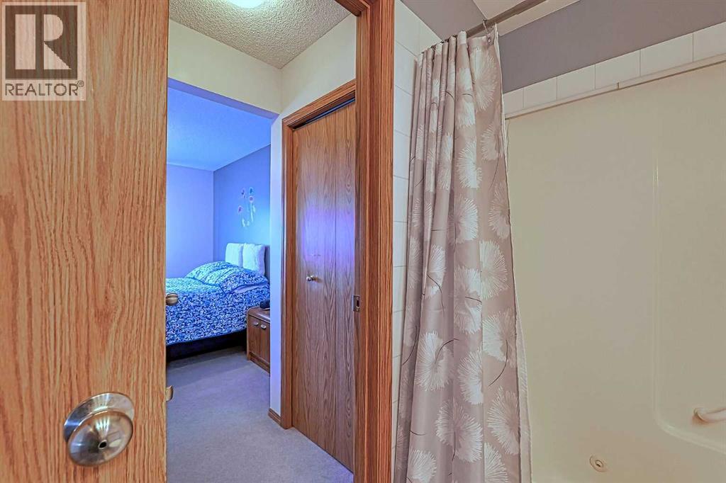 234 Martinvalley Mews NE, Calgary, Alberta  T3J 4W3 - Photo 17 - A2313604