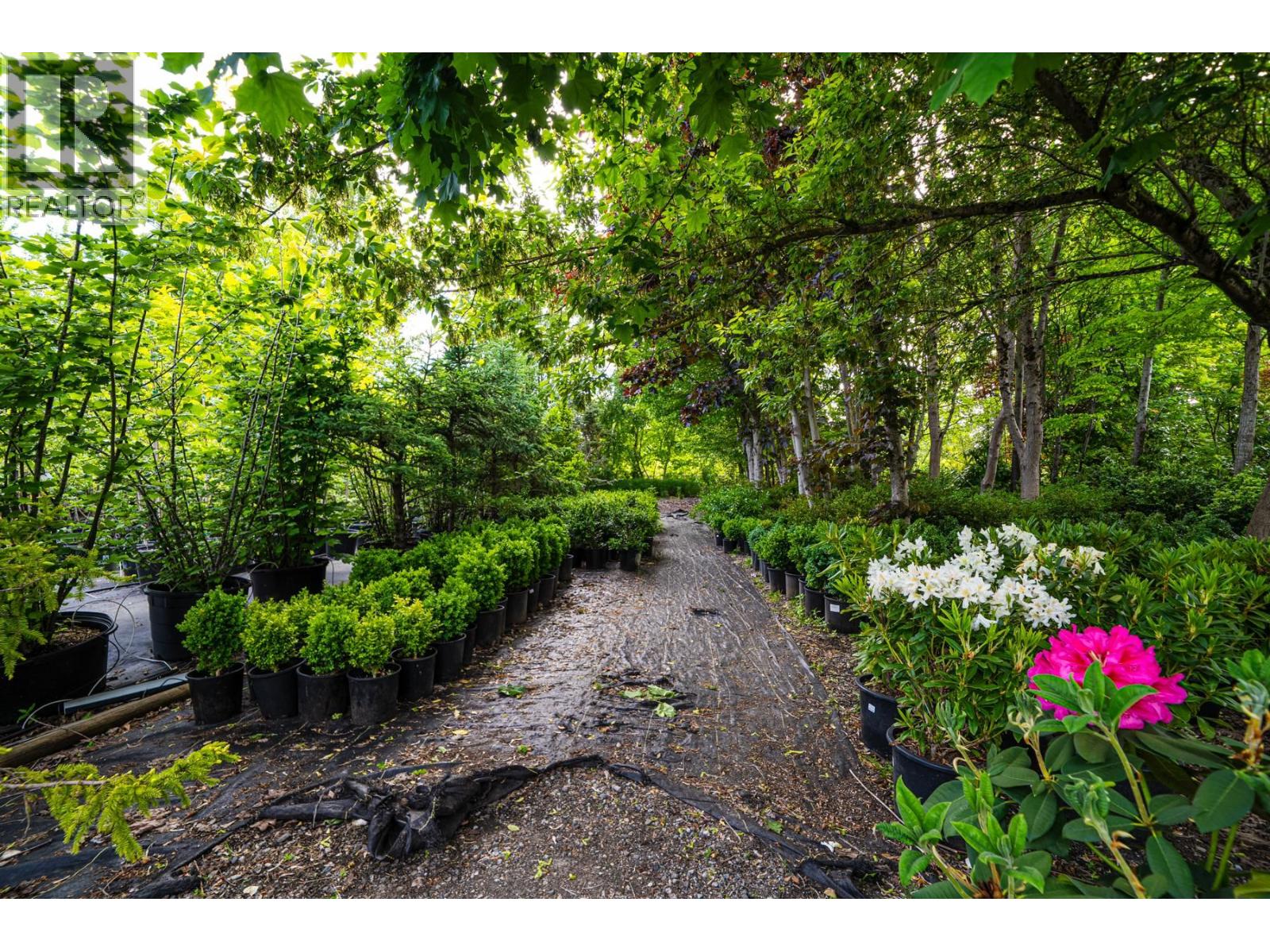 13480 Westminster Highway, Richmond, British Columbia  V6V 1A2 - Photo 15 - C8078739