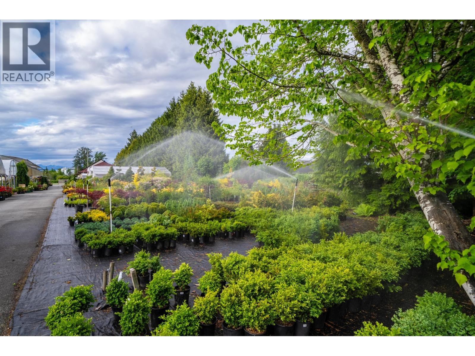 13480 Westminster Highway, Richmond, British Columbia  V6V 1A2 - Photo 12 - C8078739