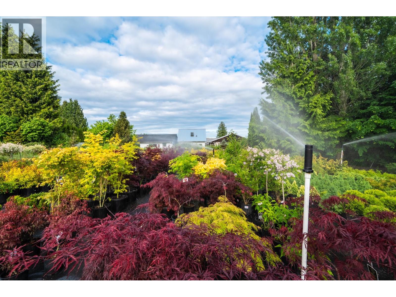 13480 Westminster Highway, Richmond, British Columbia  V6V 1A2 - Photo 13 - C8078739