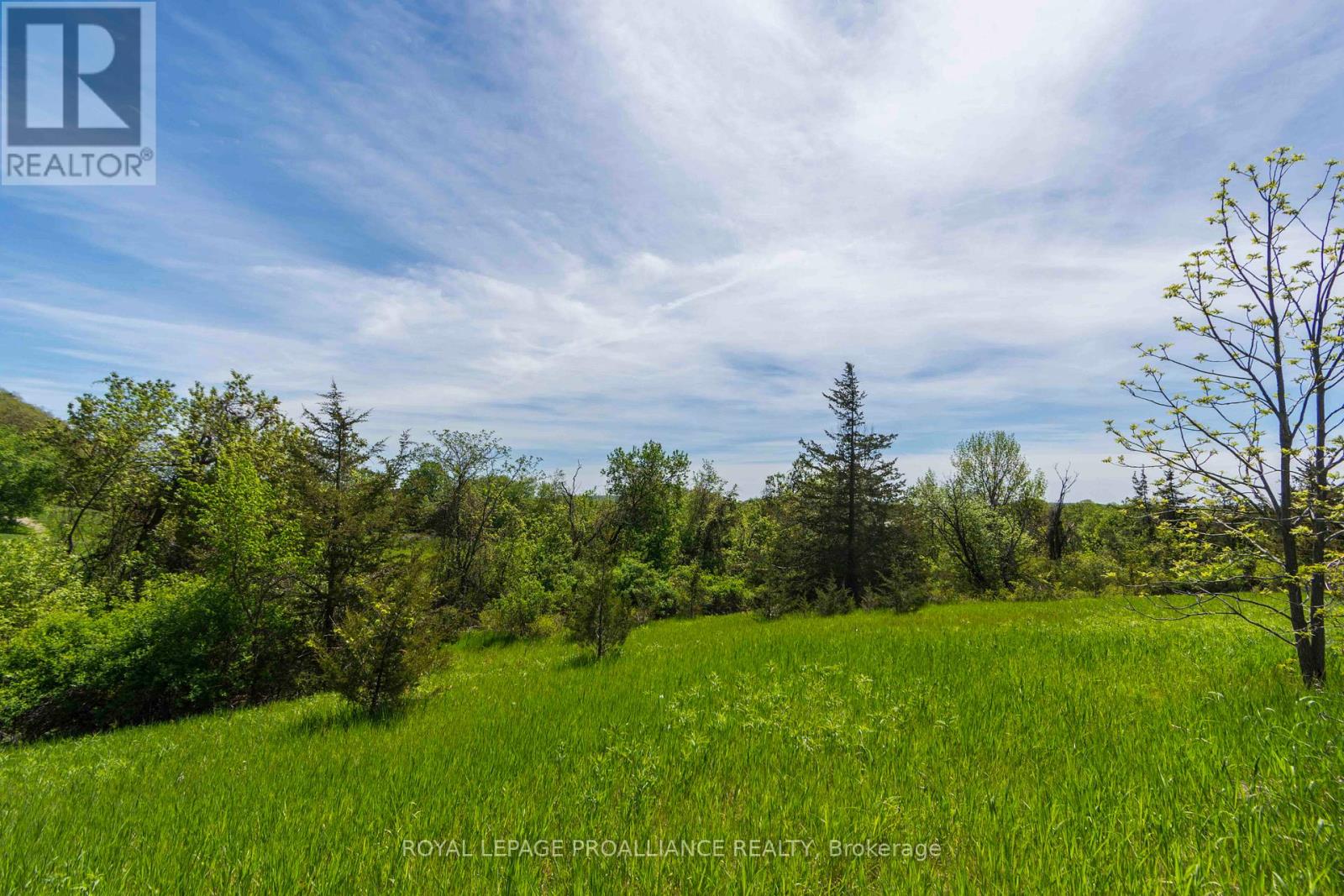 297 Zion Road, Quinte West, Ontario  K0K 2C0 - Photo 11 - X13146750