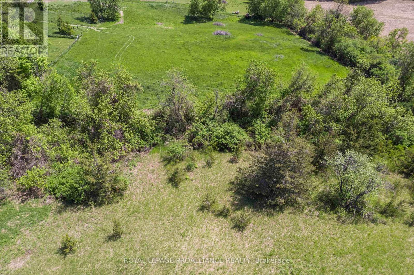 297 Zion Road, Quinte West, Ontario  K0K 2C0 - Photo 1 - X13146750