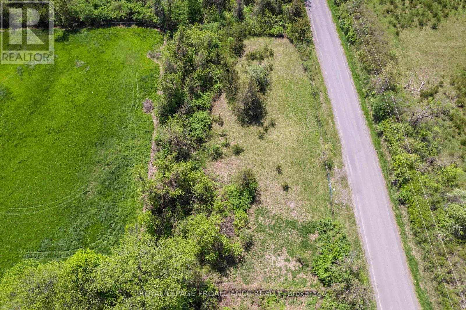 297 Zion Road, Quinte West, Ontario  K0K 2C0 - Photo 6 - X13146750