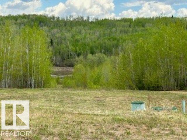 5 221048 Twp Rd 670, Rural Athabasca County, Alberta  T9S 1C3 - Photo 1 - E4469722