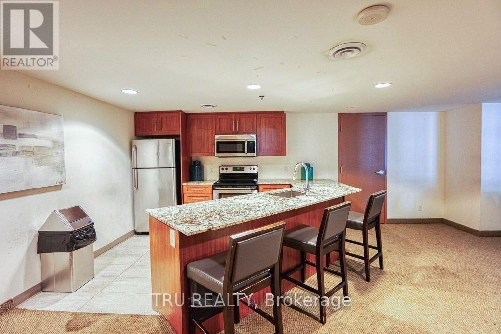 303 - 195 Besserer Street, Ottawa, Ontario  K1N 0B6 - Photo 9 - X13159448