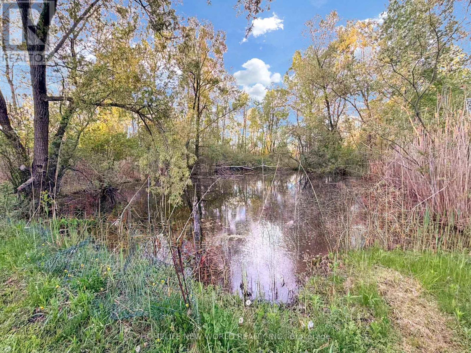 3370 Ravenshoe Road, Georgina, Ontario  L4P 3E9 - Photo 29 - N13153102