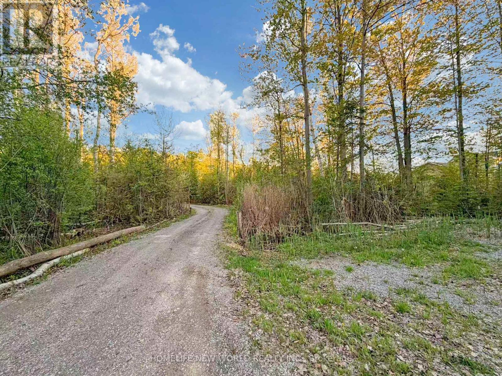 3370 Ravenshoe Road, Georgina, Ontario  L4P 3E9 - Photo 28 - N13153102