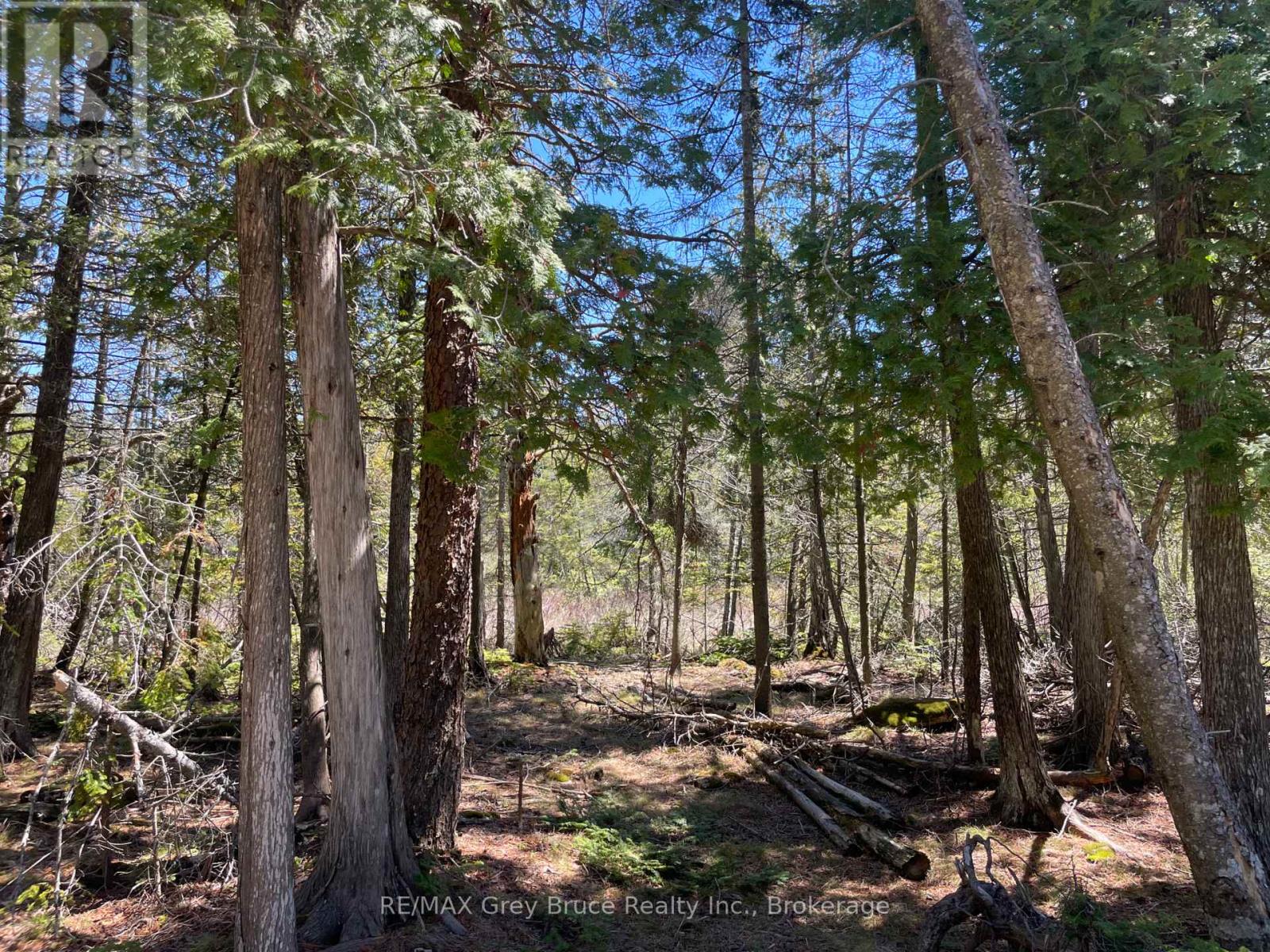 1035 Dorcas Bay Road, Northern Bruce Peninsula, Ontario  N0H 2R0 - Photo 11 - X13159512