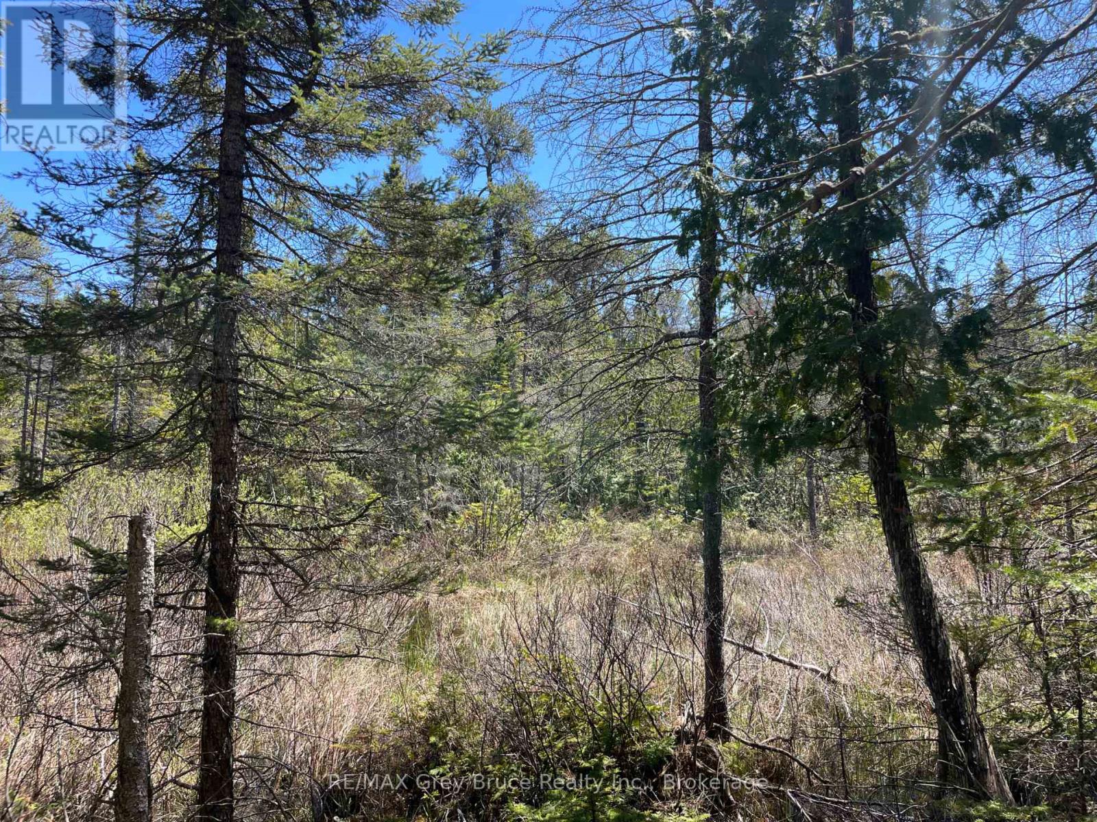 1035 Dorcas Bay Road, Northern Bruce Peninsula, Ontario  N0H 2R0 - Photo 12 - X13159512