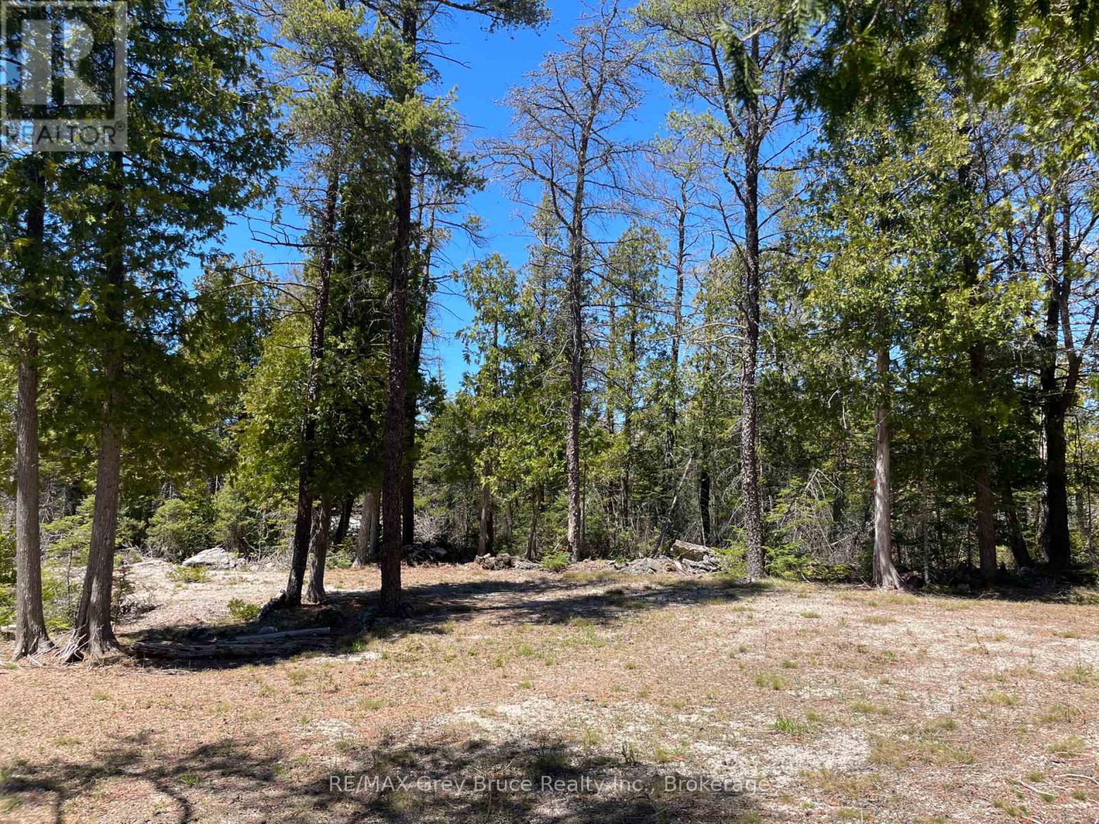 1035 Dorcas Bay Road, Northern Bruce Peninsula, Ontario  N0H 2R0 - Photo 13 - X13159512